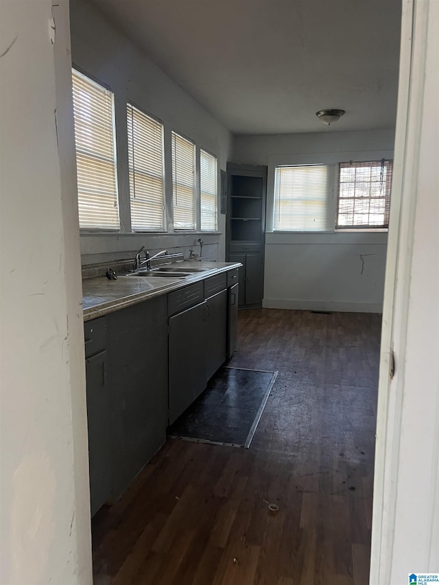 kitchen with dark hardwood / wood-style floors and sink