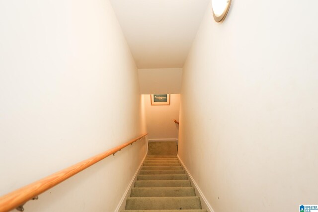 stairway featuring carpet flooring