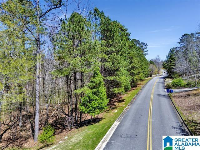 433 Saint Andrews Pkwy Unit 19, Oneonta AL, 35121 land for sale