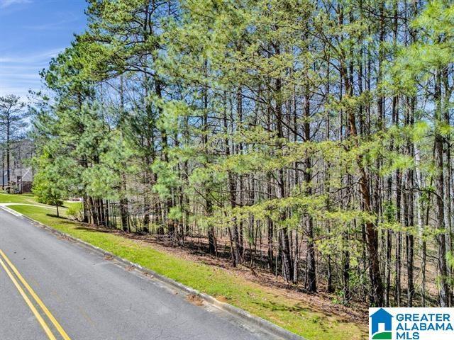433 Saint Andrews Pkwy Unit 19, Oneonta, AL 35121