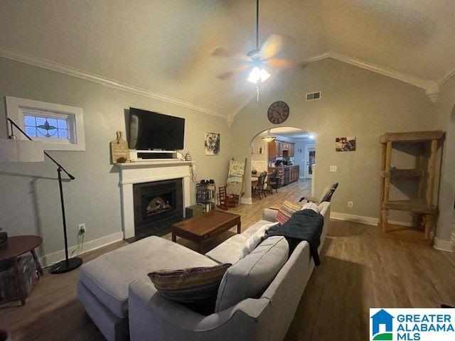 living room with vaulted ceiling, ceiling fan, and ornamental molding