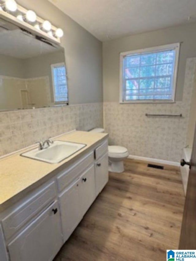 bathroom featuring vanity, wood-type flooring, and toilet