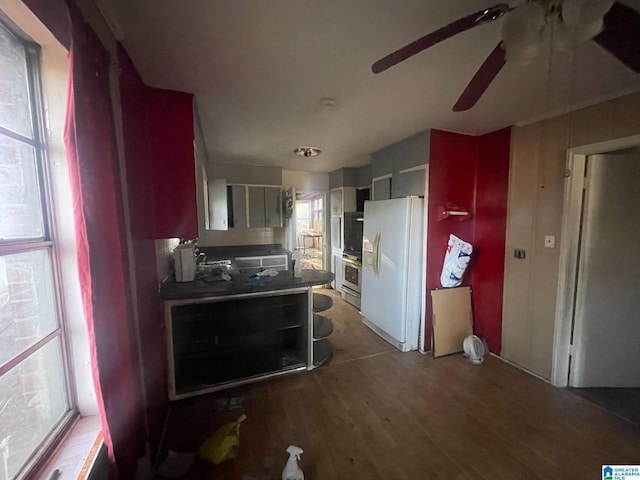 kitchen featuring dark hardwood / wood-style floors, ceiling fan, and white refrigerator with ice dispenser