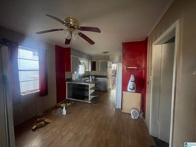 kitchen with hardwood / wood-style flooring and ceiling fan