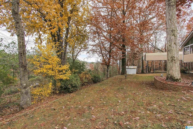 view of yard featuring a shed