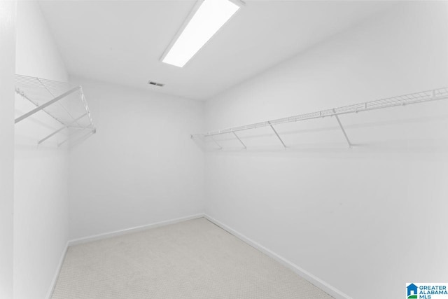 spacious closet featuring carpet