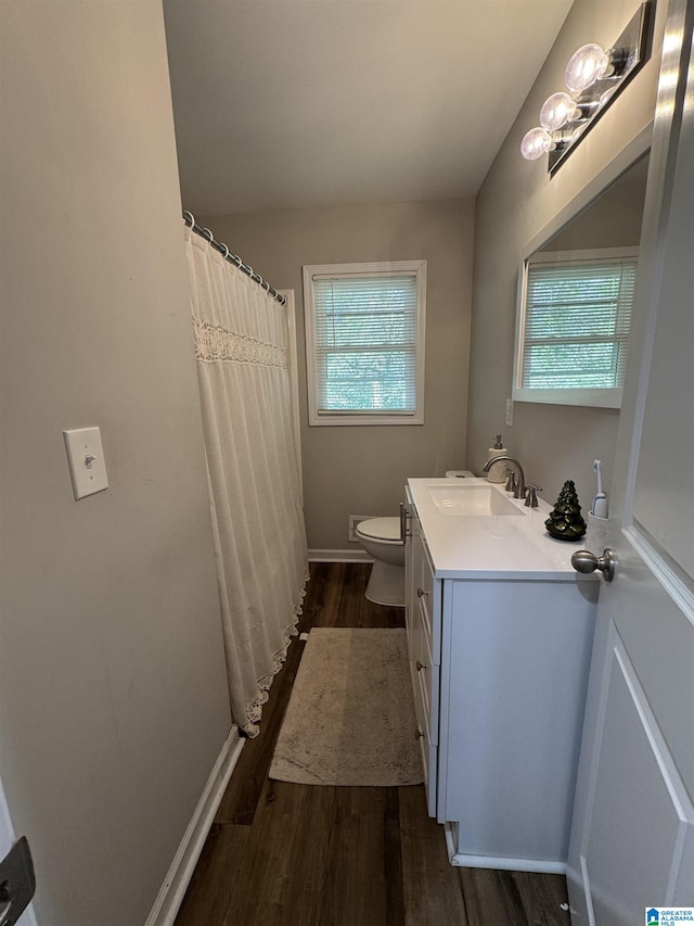 bathroom featuring hardwood / wood-style floors, vanity, and a wealth of natural light