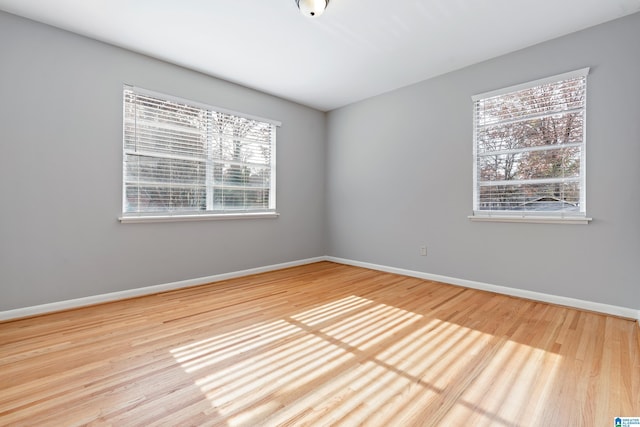 spare room with a healthy amount of sunlight and wood-type flooring