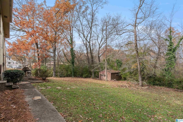 view of yard with a storage shed