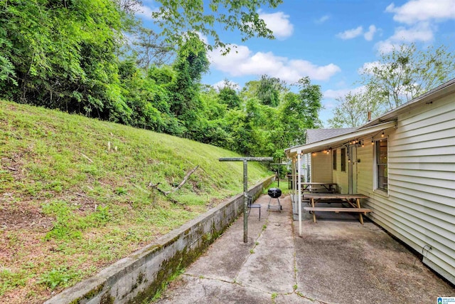 view of yard featuring a patio area