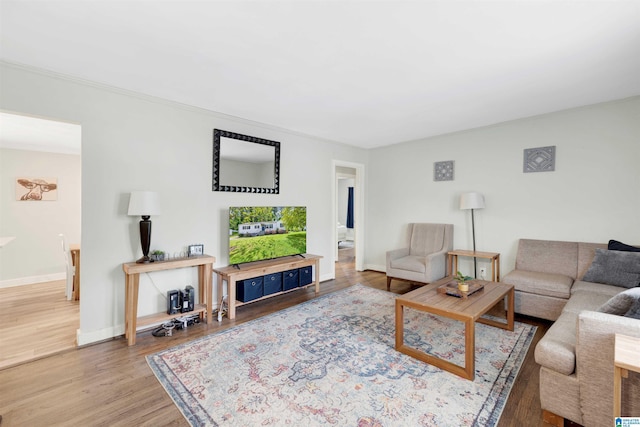 living room featuring hardwood / wood-style floors