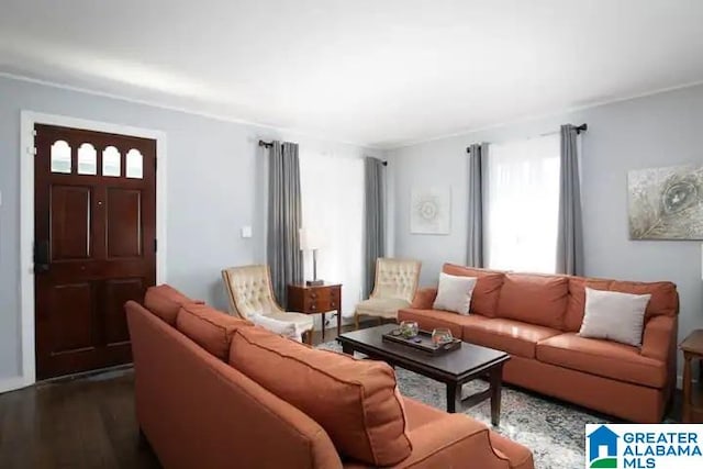 living room featuring dark wood-type flooring