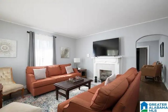 living room featuring hardwood / wood-style flooring