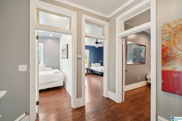 hall with a textured ceiling, dark hardwood / wood-style floors, and ornamental molding