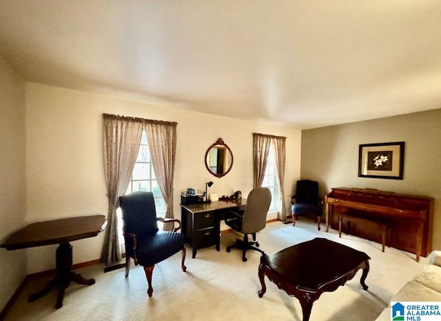 living area with light colored carpet