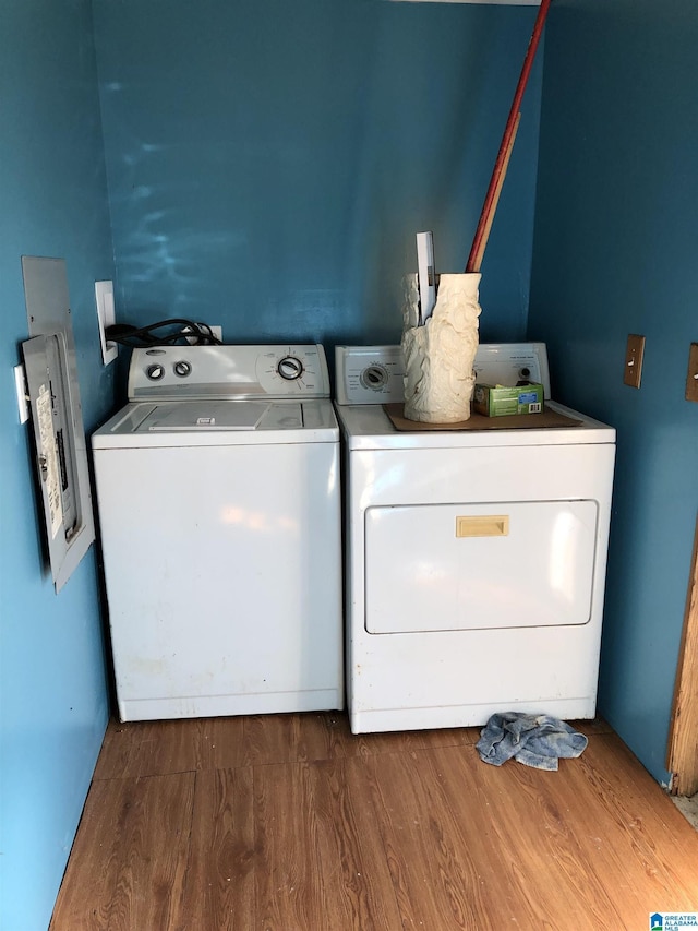 laundry area featuring dark wood-type flooring and independent washer and dryer