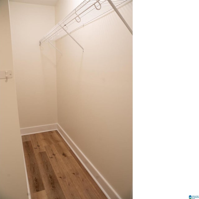 walk in closet featuring wood-type flooring