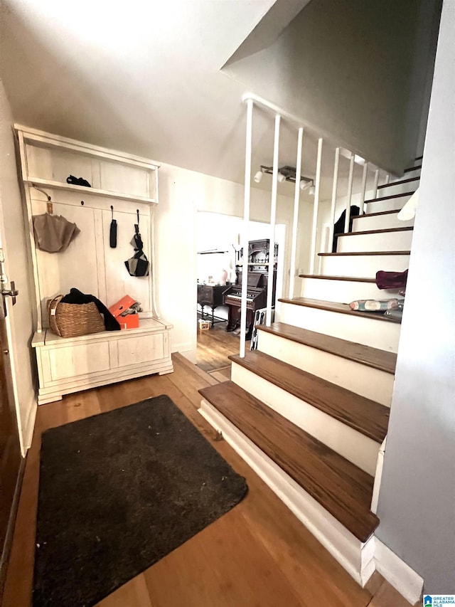 mudroom featuring light hardwood / wood-style floors