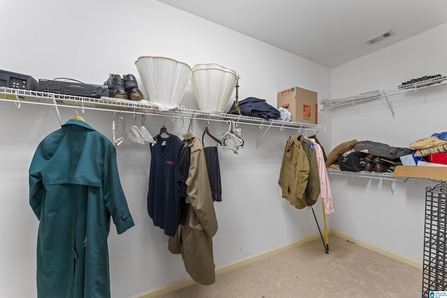 spacious closet featuring carpet flooring