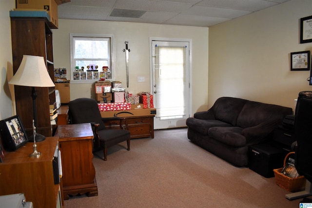 living room featuring carpet floors