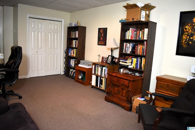 office space with carpet floors