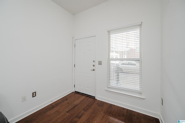 foyer entrance featuring dark wood-type flooring