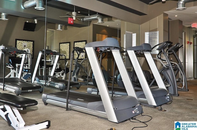 exercise room featuring carpet floors