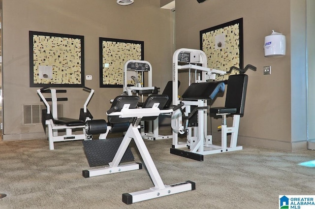 workout area featuring carpet flooring