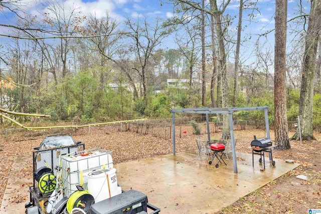 view of patio / terrace featuring grilling area