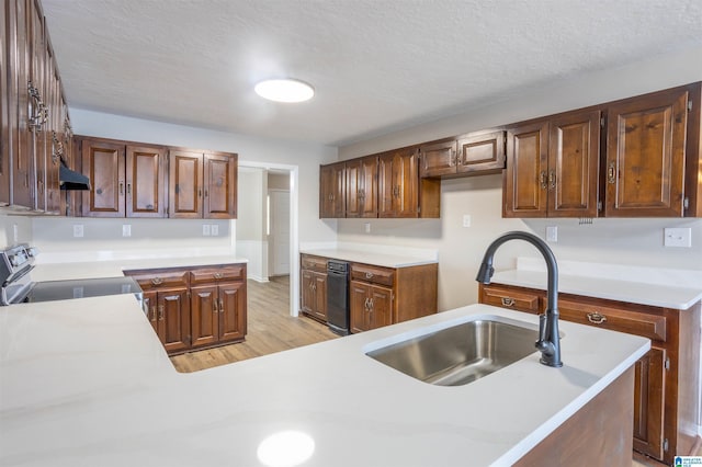 kitchen featuring a textured ceiling, light wood-type flooring, sink, and stainless steel stove