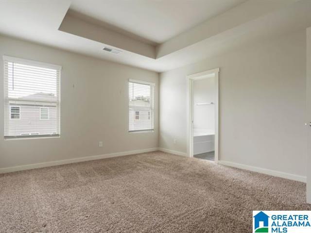 carpeted spare room featuring a tray ceiling