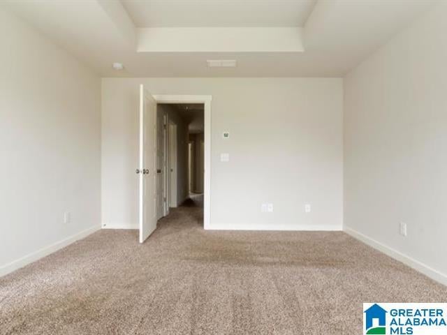 unfurnished room with carpet flooring and a raised ceiling