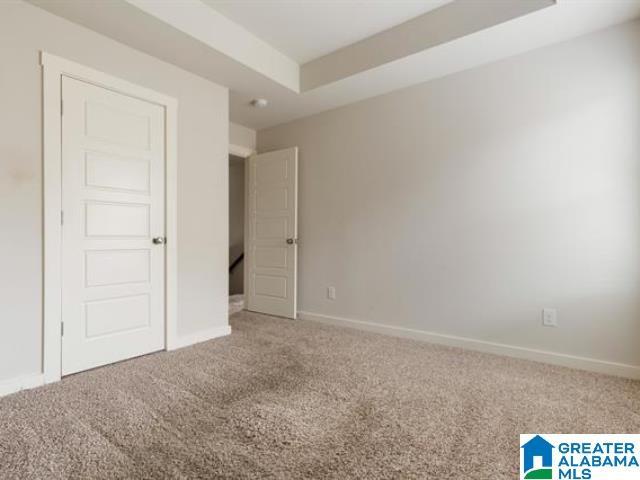 unfurnished bedroom with a raised ceiling and carpet