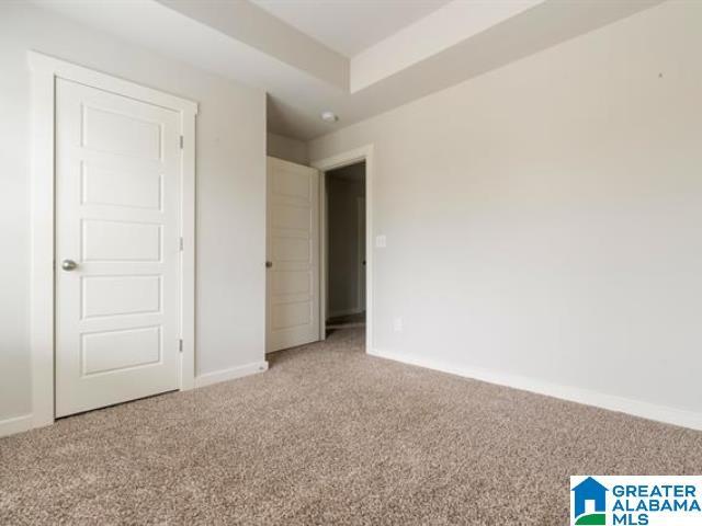 unfurnished bedroom with carpet floors