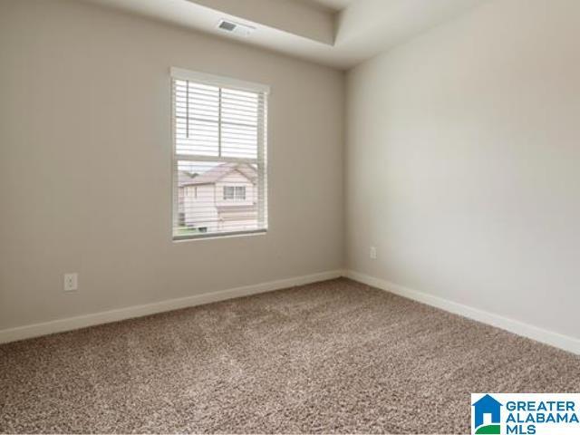 spare room with carpet floors