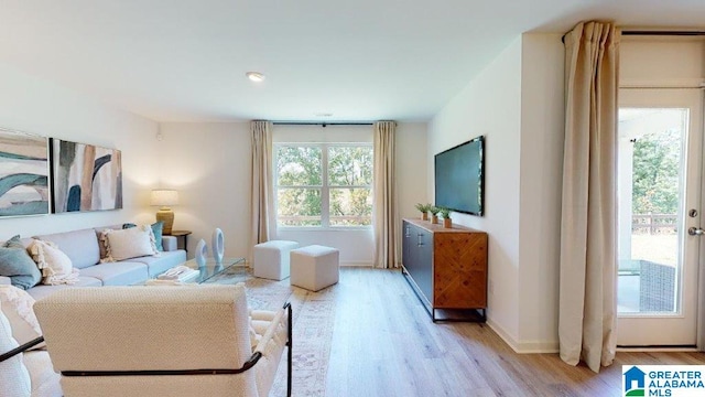 living room with light wood-type flooring