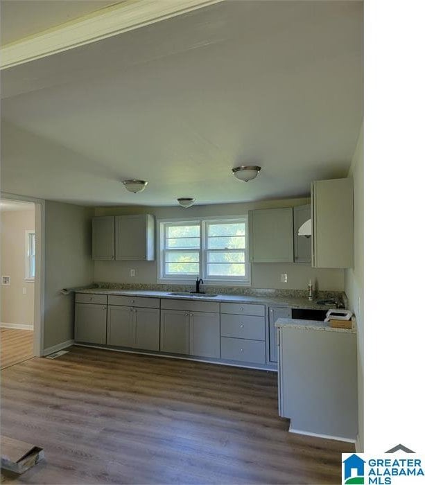 kitchen with dark hardwood / wood-style flooring and sink