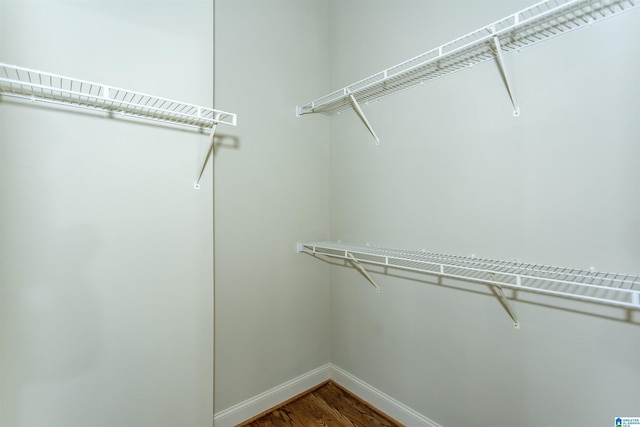 spacious closet featuring dark wood-type flooring