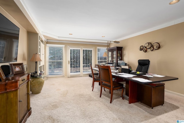 office with ornamental molding and light colored carpet