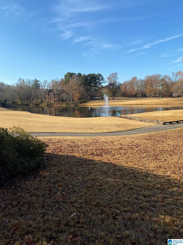 view of yard featuring a water view