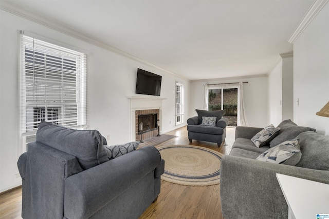 living room with a fireplace, ornamental molding, and light wood-type flooring