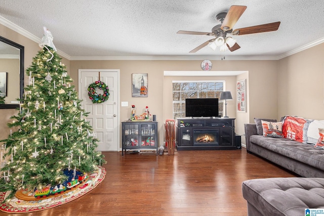 living room featuring dark hardwood / wood-style floors, ceiling fan, ornamental molding, and a textured ceiling