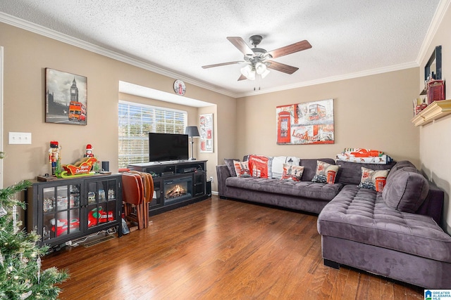 living room featuring hardwood / wood-style flooring, ornamental molding, and a textured ceiling