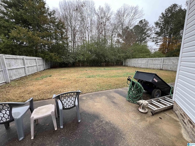 view of yard with a patio area