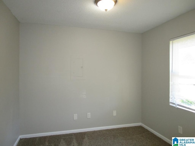 carpeted spare room featuring a textured ceiling