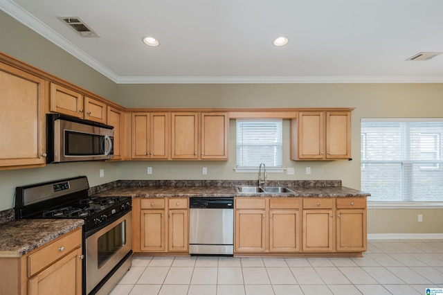 kitchen featuring appliances with stainless steel finishes, ornamental molding, a healthy amount of sunlight, and sink