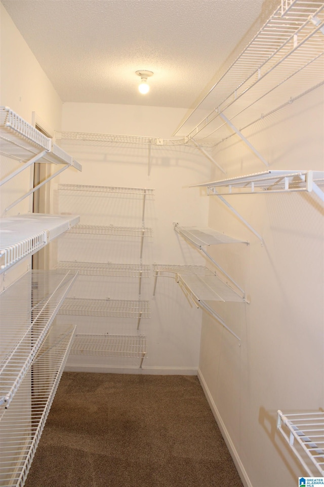 walk in closet with carpet floors