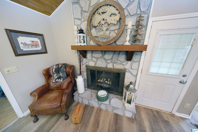 living area featuring a fireplace and wood-type flooring