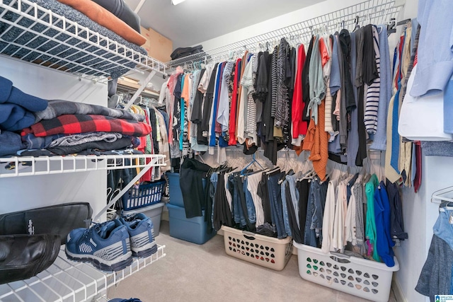 walk in closet featuring carpet floors