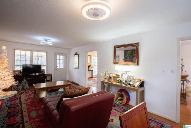 living room with light hardwood / wood-style flooring